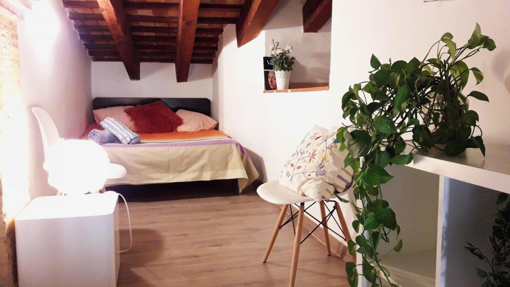 Bolseria Centricos Apartamentos En El Carmen 瓦伦西亚 外观 照片