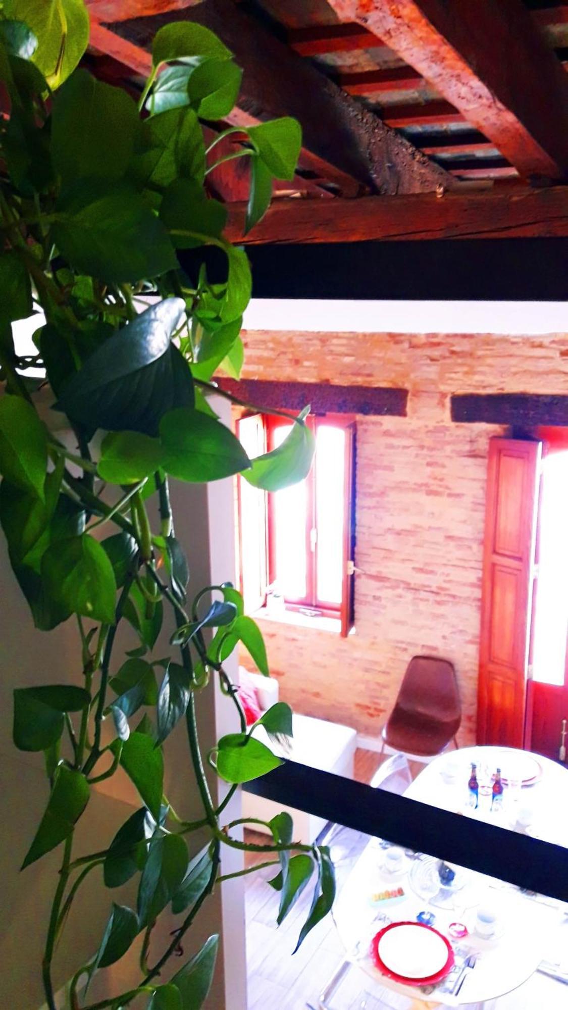 Bolseria Centricos Apartamentos En El Carmen 瓦伦西亚 外观 照片