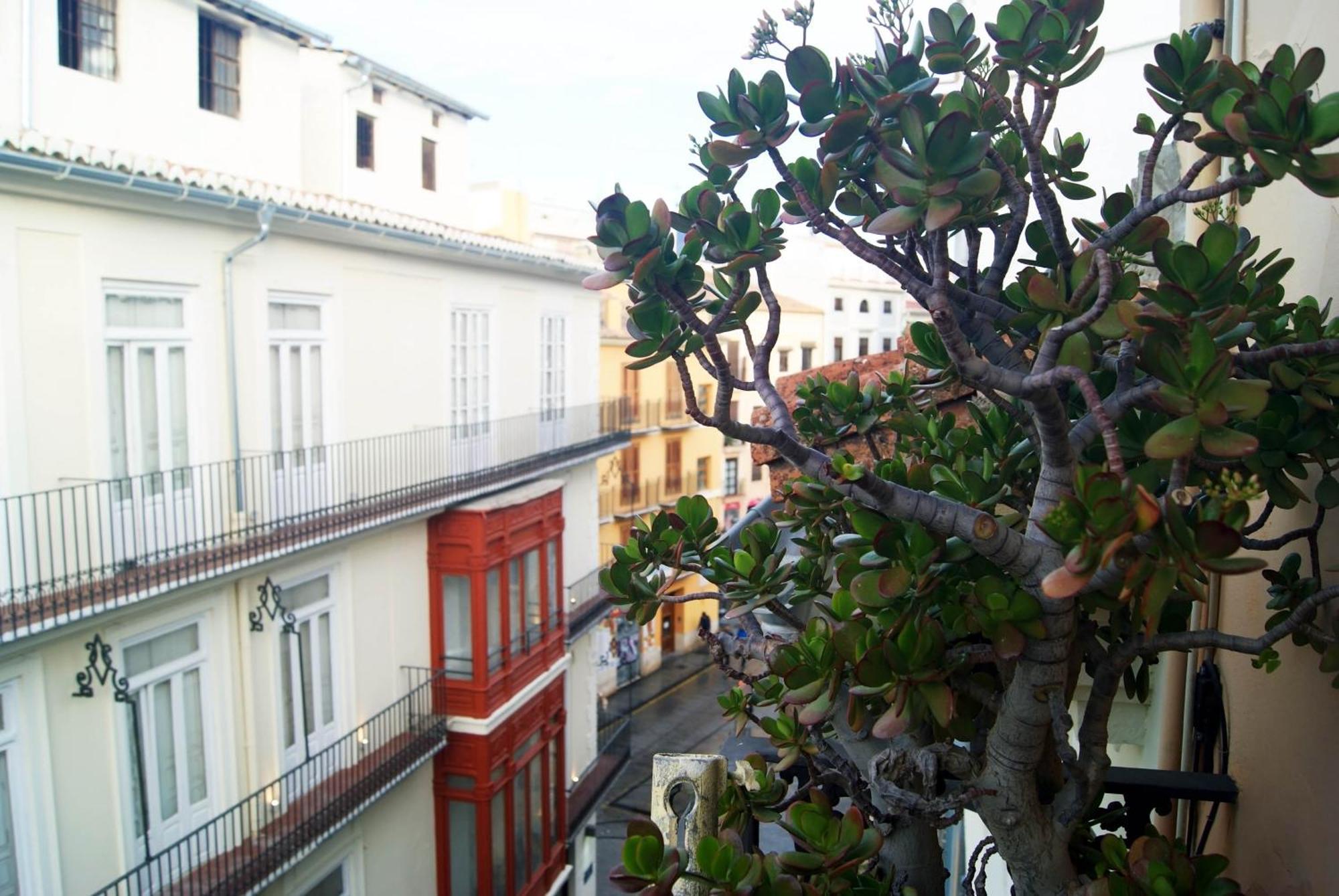 Bolseria Centricos Apartamentos En El Carmen 瓦伦西亚 外观 照片